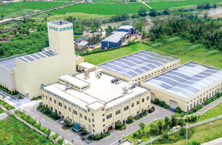 關(guān)于正發(fā)